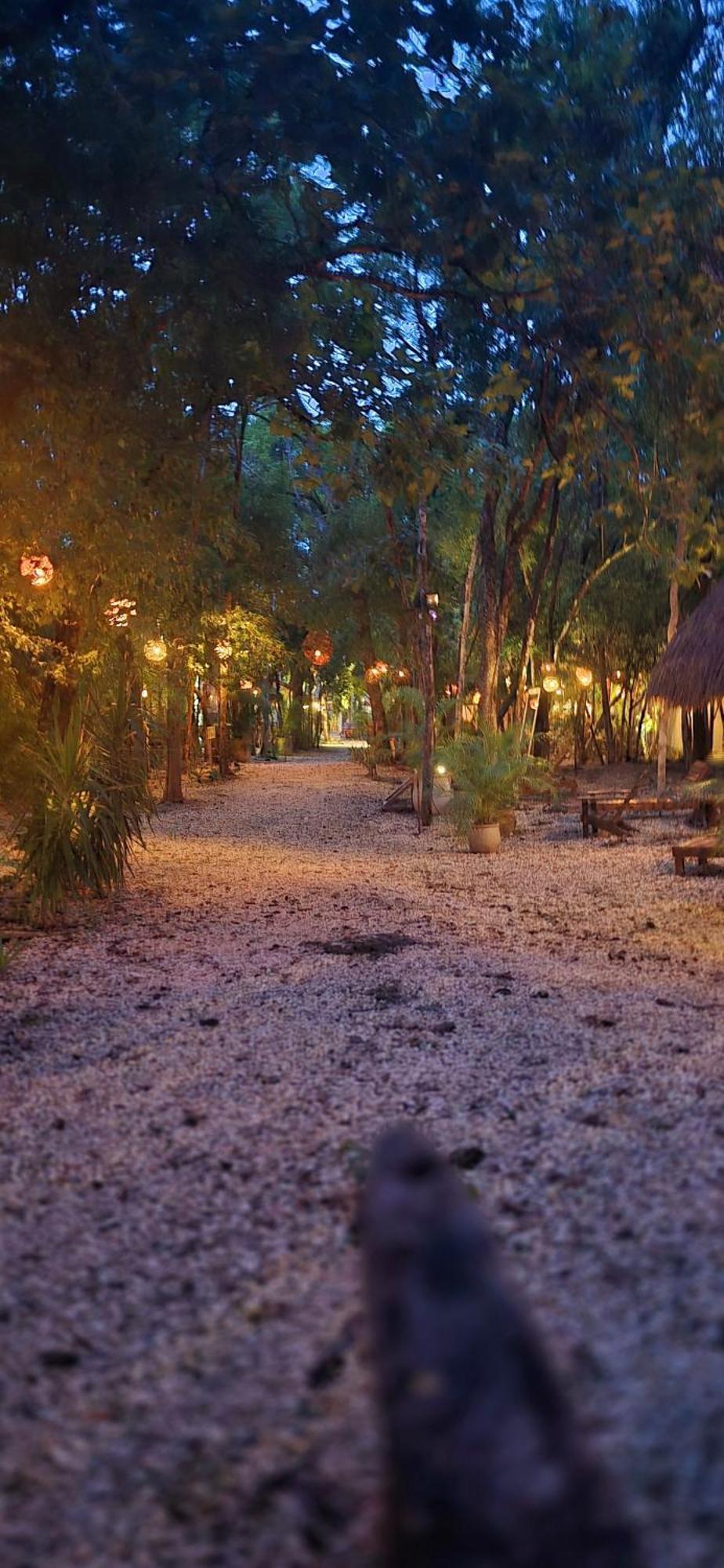 Hotel Kin Tulum Jungle Deluxe Exterior photo